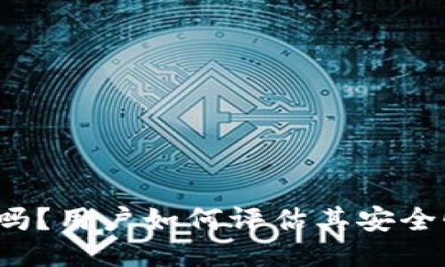 TP钱包安全吗？用户如何评估其安全性与可靠性？