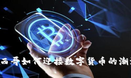 墨西哥如何迎接数字货币的潮流？