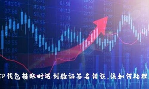TP钱包转账时遇到验证签名错误，该如何处理？