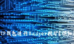 如何使用TP钱包进行Badger挖矿？详细教程来了！