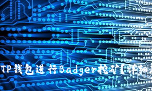 如何使用TP钱包进行Badger挖矿？详细教程来了！