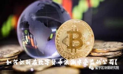 如何识别在数字货币浪潮中受益的公司？
