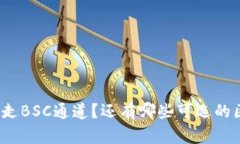 TP钱包只能走BSC通道？还有哪些可选的区块链通道