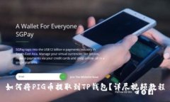 如何将PIG币提取到TP钱包？详尽视频教程