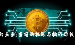 数字货币的未来：当前的机遇与挑战你该知道什