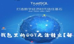 为什么我的TP钱包里的DOT无法转出？解决方案是什