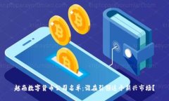 越南数字货币公司名单：谁在引领这个新兴市场