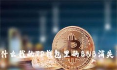 为什么我的TP钱包里的BNB消失了？