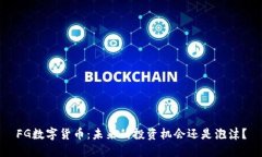 FG数字货币：未来的投资机会还是泡沫？