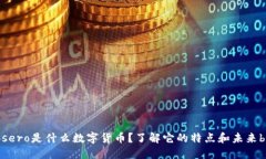 bsero是什么数字货币？了解它的特点和未来br