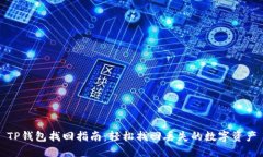 TP钱包找回指南：轻松找回丢失的数字资产