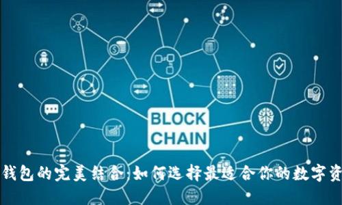 小狐狸与TP钱包的完美结合：如何选择最适合你的数字资产管理工具