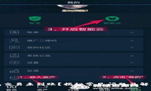 TP钱包交易未到账？揭秘常见问题及解决方案