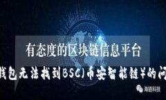 如何解决TP钱包无法找到BSC（币安智能链）的问题