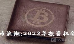 抓住数字货币浪潮：2023年投资机会与策略解析