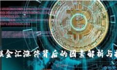 数字货币海联金汇涨停背后的因素解析与投资机
