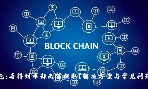 TP钱包：看得到币却无法提取？解决方案与常见问题解析