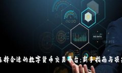 如何选择合适的数字货币交易平台：新手指南与